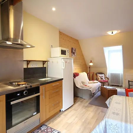 T3 Au Mont-dore, Wifi, Animaux Admis, 4 Pers. - Fr-1-608-291